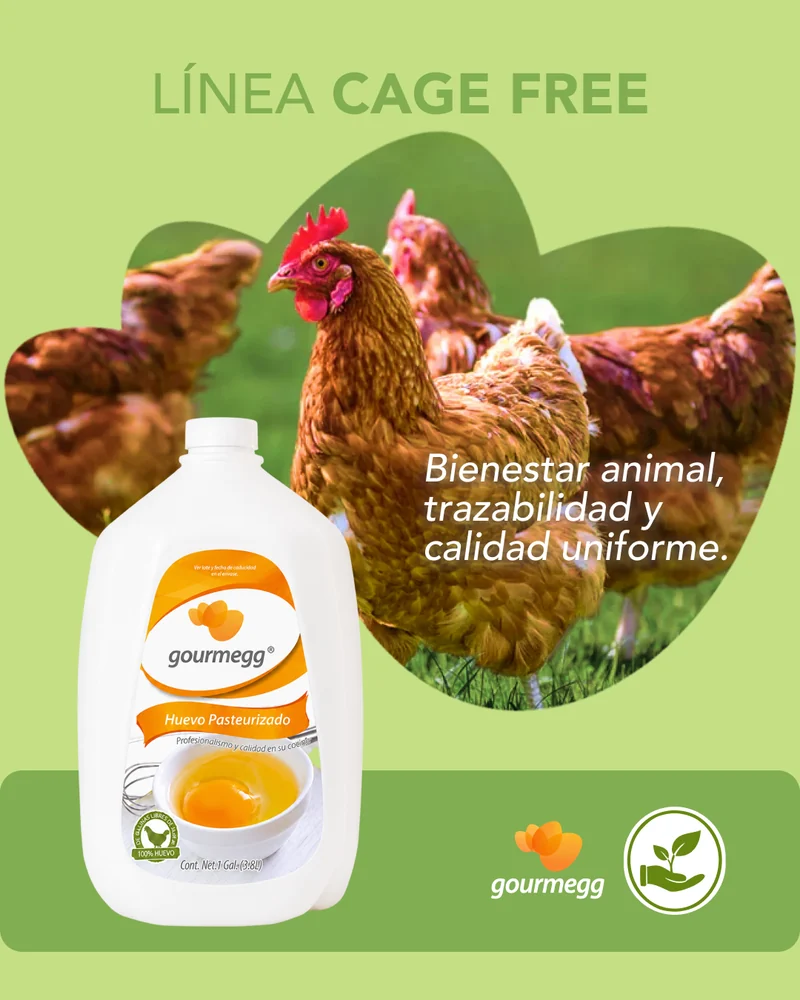 Línea Cage Free: bienestar animal, trazabilidad y calidad uniforme